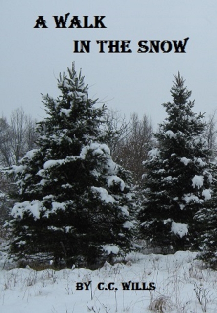 Walk In The Snow