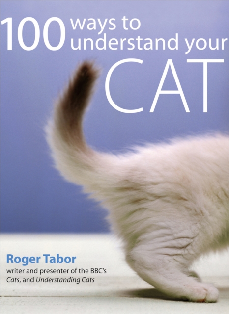 100 Ways to Understand Your Cat
