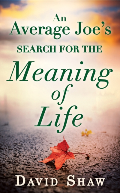 Average Joe's Search For The Meaning Of Life