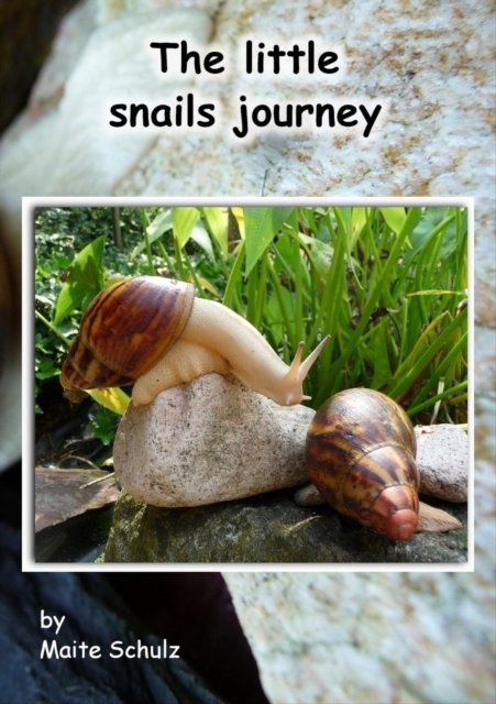 little snails journey
