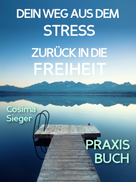 Stress: DEIN WEG AUS STRESS UND BURNOUT ZURUCK IN DIE FREIHEIT! Wie Du aus Stress und Burnout hinaus zuruck zu Dir selbst findest!