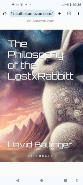 Philosophy of the LostxRabbitt