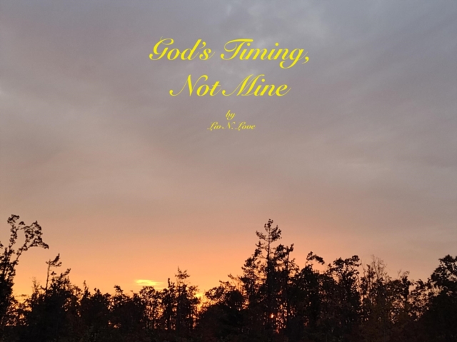 God's Timing, Not Mine
