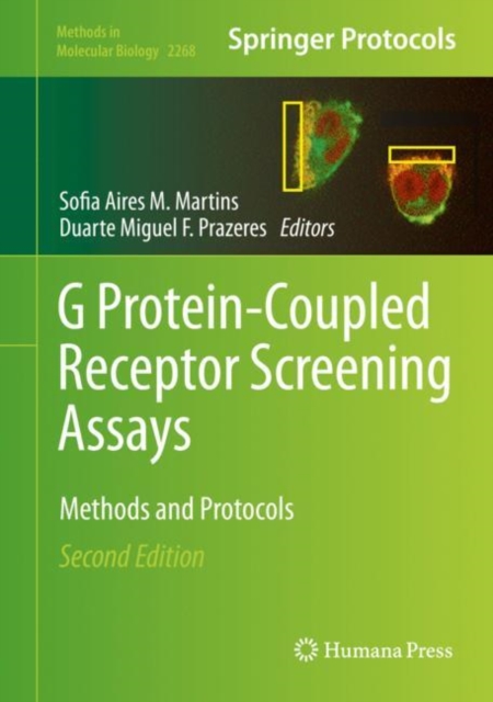 G Protein-Coupled Receptor Screening Assays