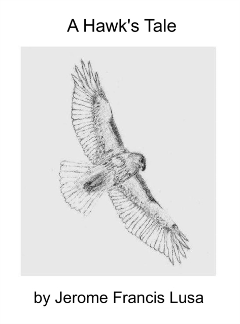 Hawk's Tale