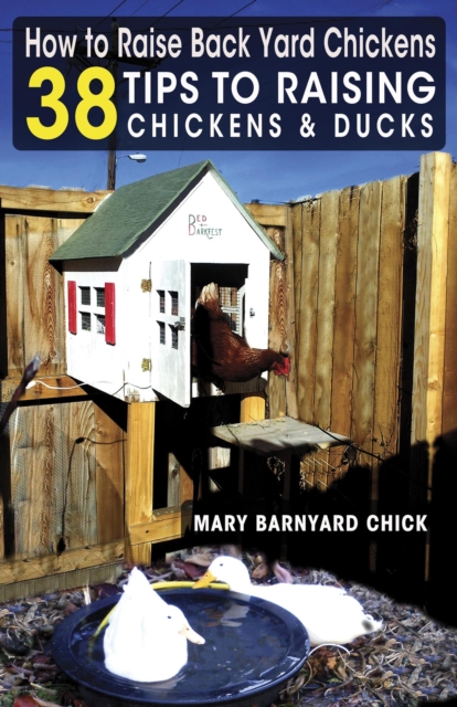 How to Raise Back Yard Chickens - 38 Tips to Raising Chickens & Ducks