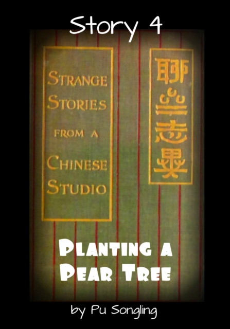 Story 4:  Planting a Pear Tree