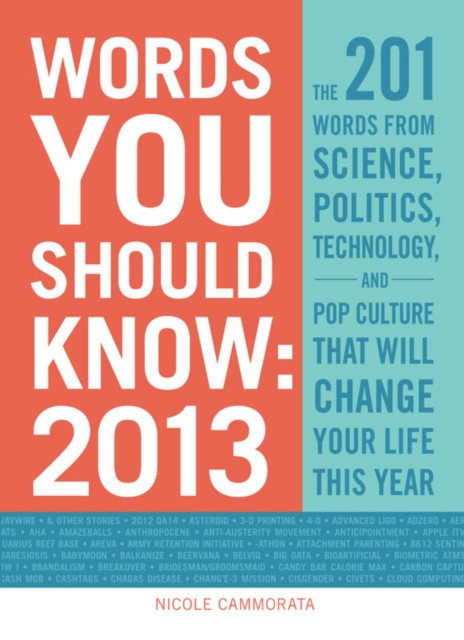 Words You Should Know 2013