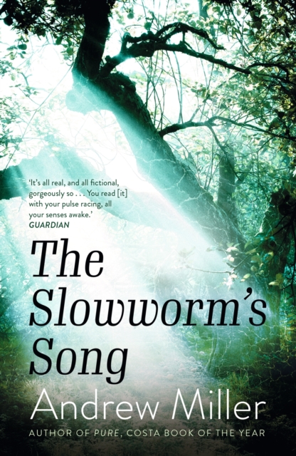 Slowworm's Song