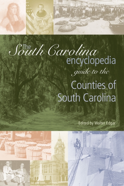 South Carolina Encyclopedia Guide to the Counties of South Carolina