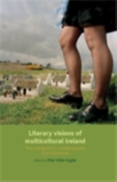 Literary visions of multicultural Ireland