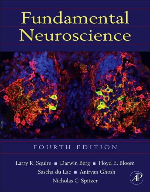 Fundamental Neuroscience