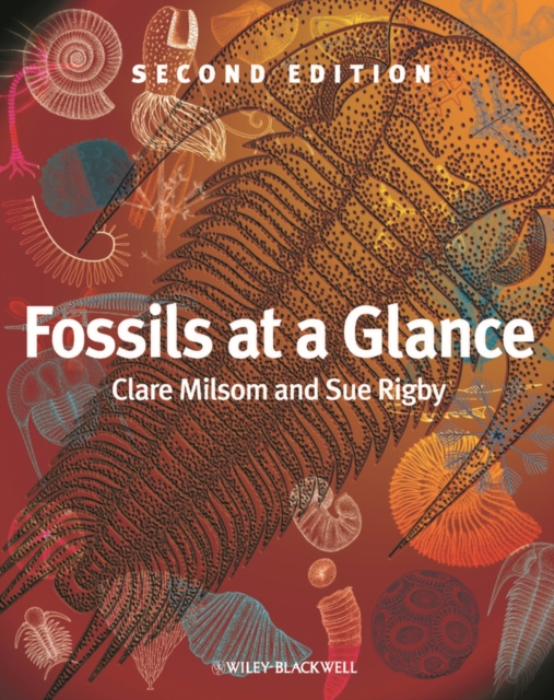 Fossils at a Glance