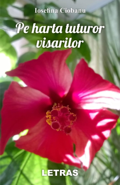 Pe Harta Tuturor Visarilor