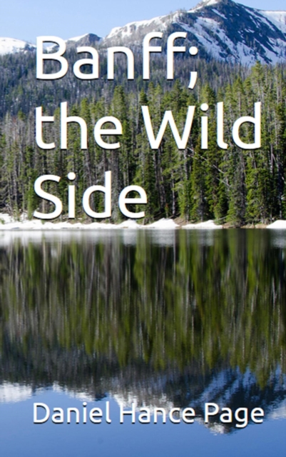Banff; the Wild Side