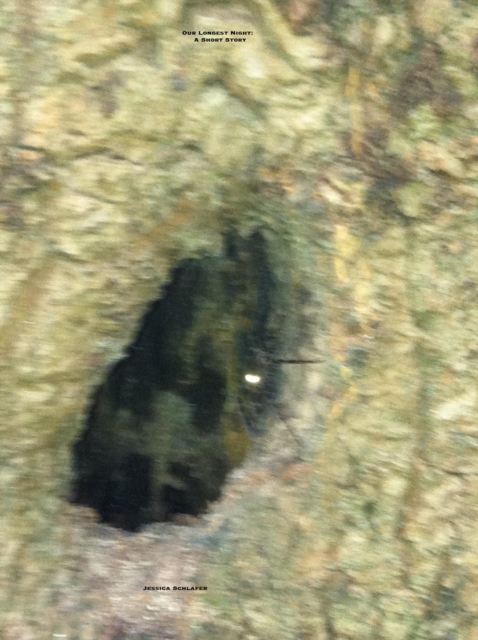 Our Longest Night:  A Short Story