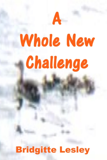 Whole New Challenge