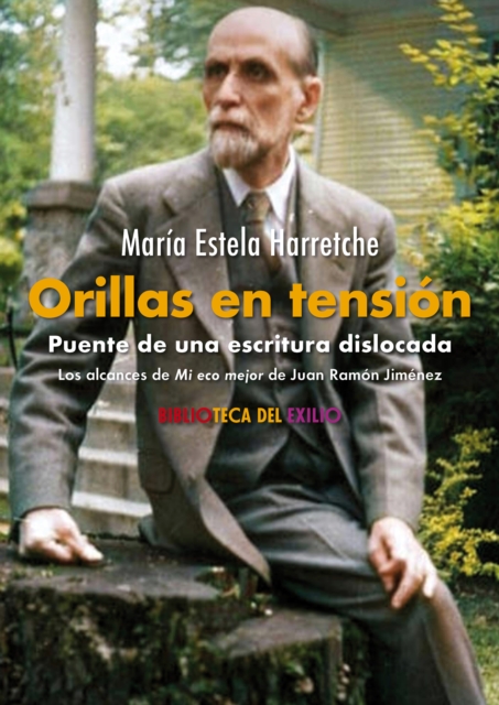 Orillas en tension. Puente de una escritura dislocada