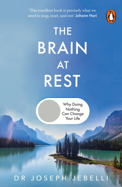 Brain at Rest