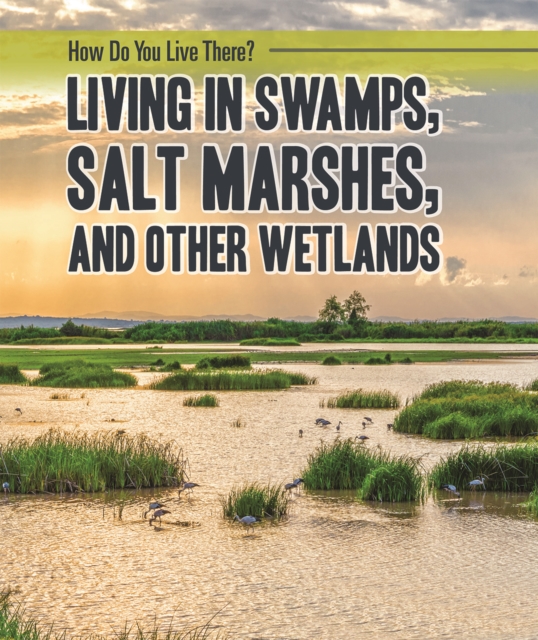 Living in Swamps, Salt Marshes, and Other Wetlands