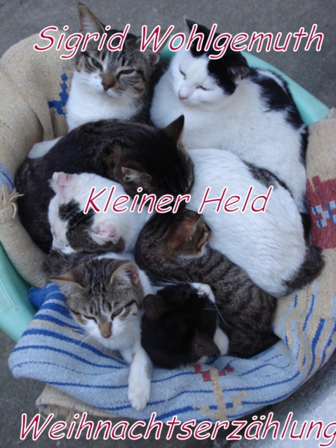 Kleiner Held