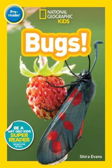 Bugs! (National Geographic Kids Readers, Pre-Reader)