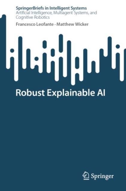Robust Explainable AI