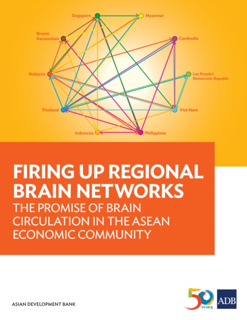 Firing Up Regional Brain Networks