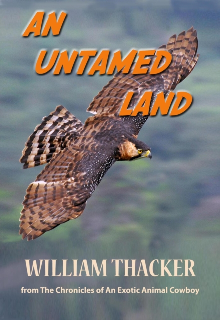 Untamed Land