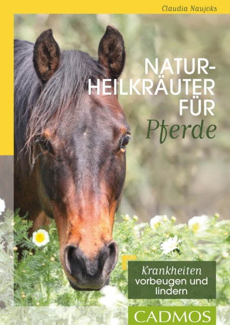 Naturheilkräuter für Pferde