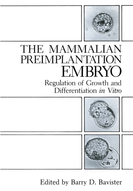 Mammalian Preimplantation Embryo