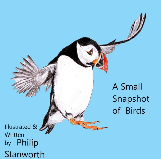 Small Snapshot Of Birds