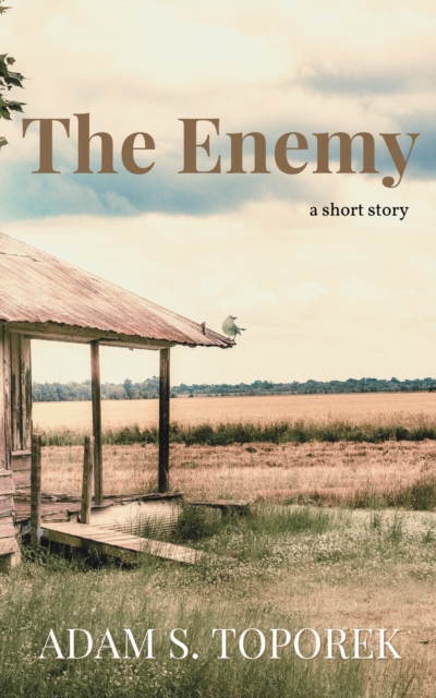 Enemy