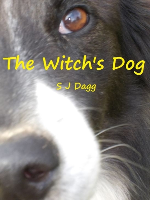 Witch's Dog