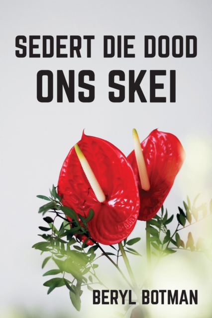 Sedert Die Dood Ons Skei