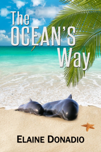 Ocean's Way