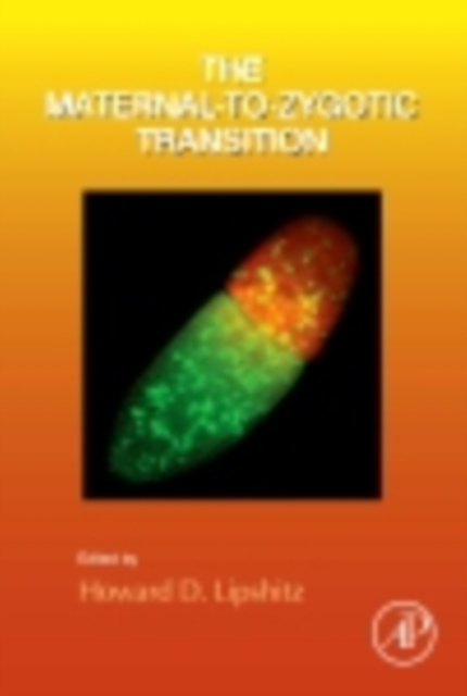 Maternal-to-Zygotic Transition