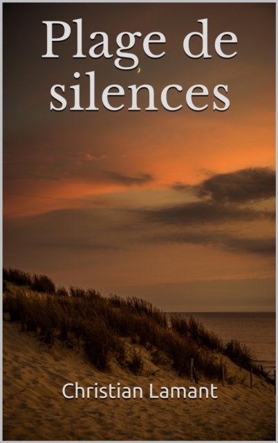 Plage de silences