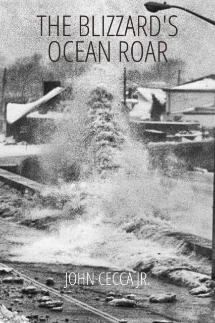 Blizzard's Ocean Roar