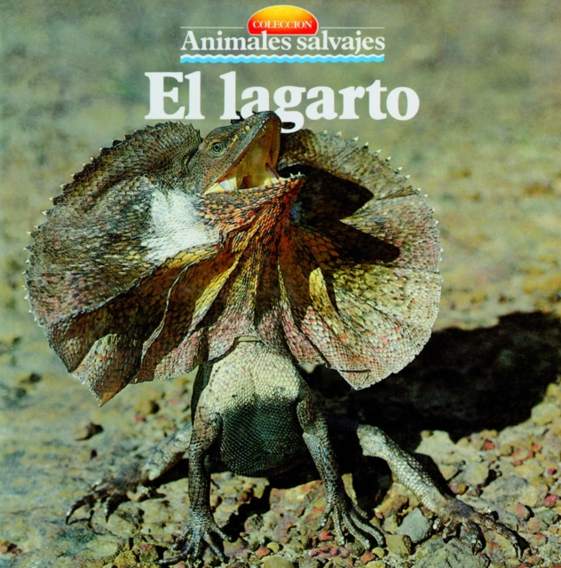 El lagarto