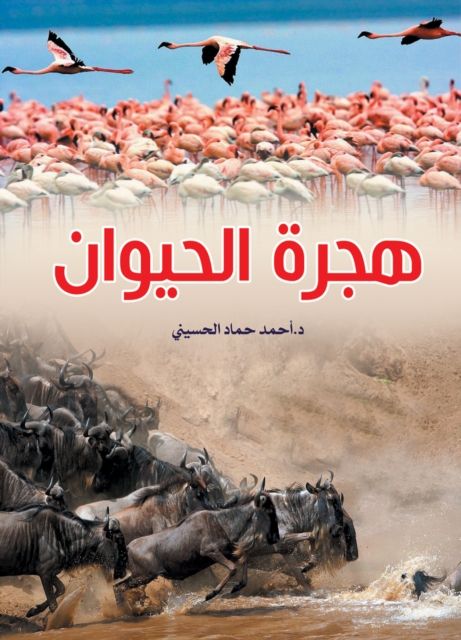 Animal migration