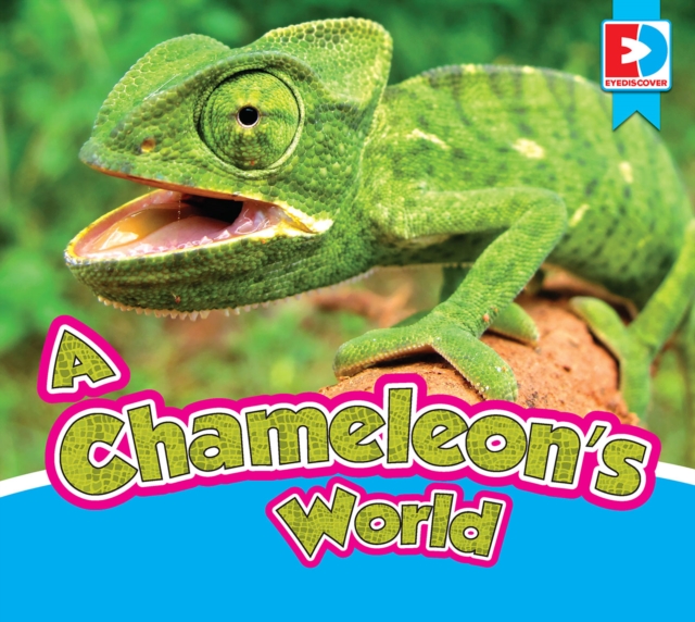 Chameleon's World