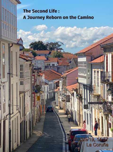 Second Life : A Journey Reborn on the Camino