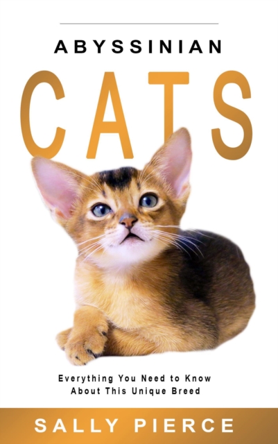 Abyssinian Cats: Everything You Need to Know about This Unique Breed