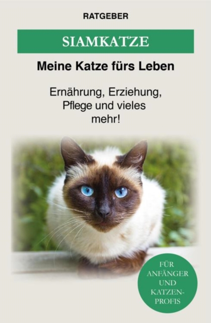 Siam Katze