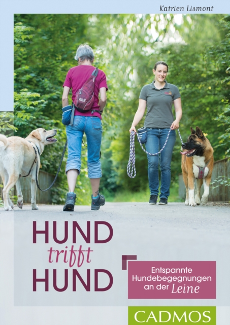 Hund trifft Hund