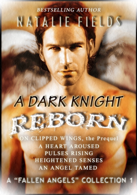 Dark Knight Reborn Complete Collection