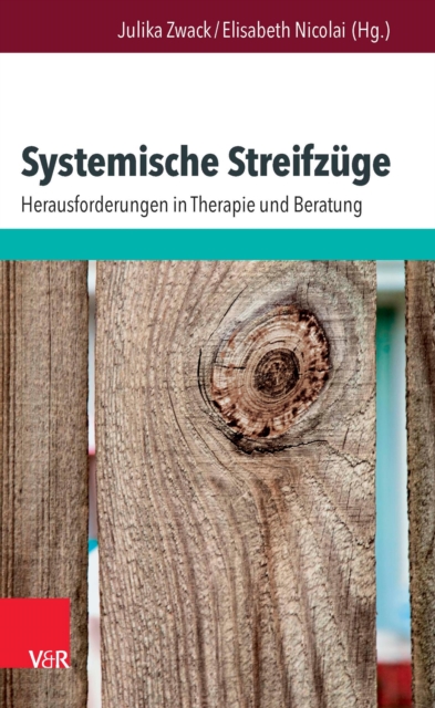 Systemische Streifzüge