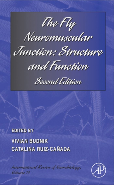 Fly Neuromuscular Junction: Structure and Function