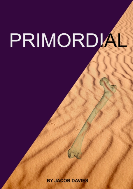 Primordial